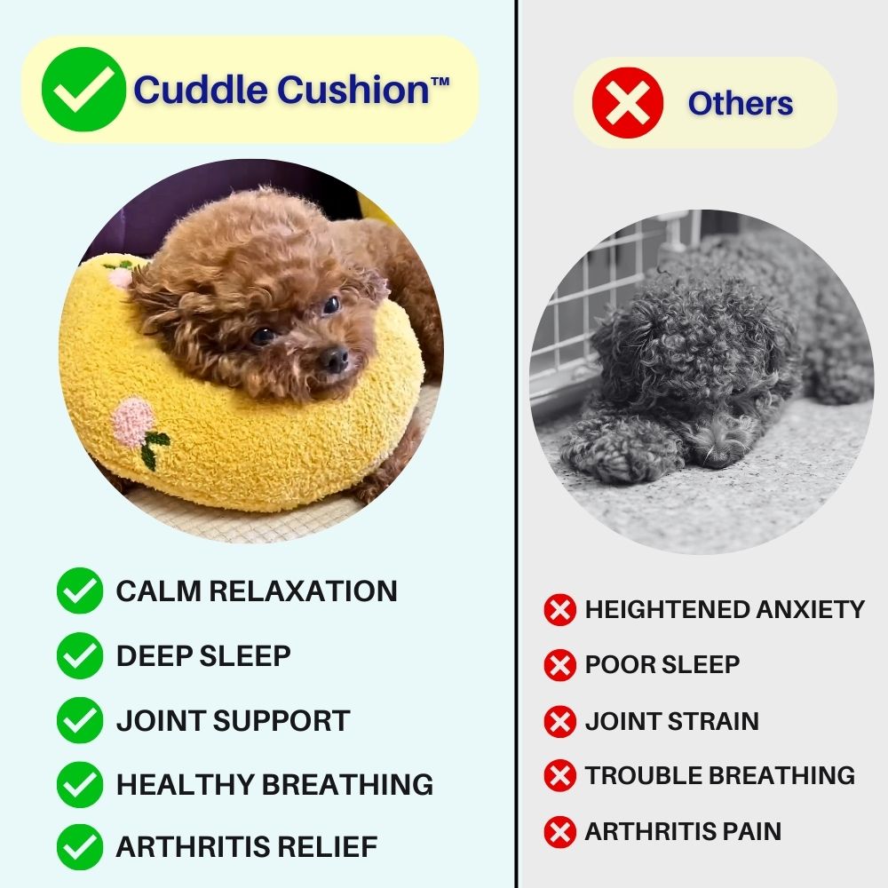 Cuddle Cushion™ Rustgevend Hondkussen